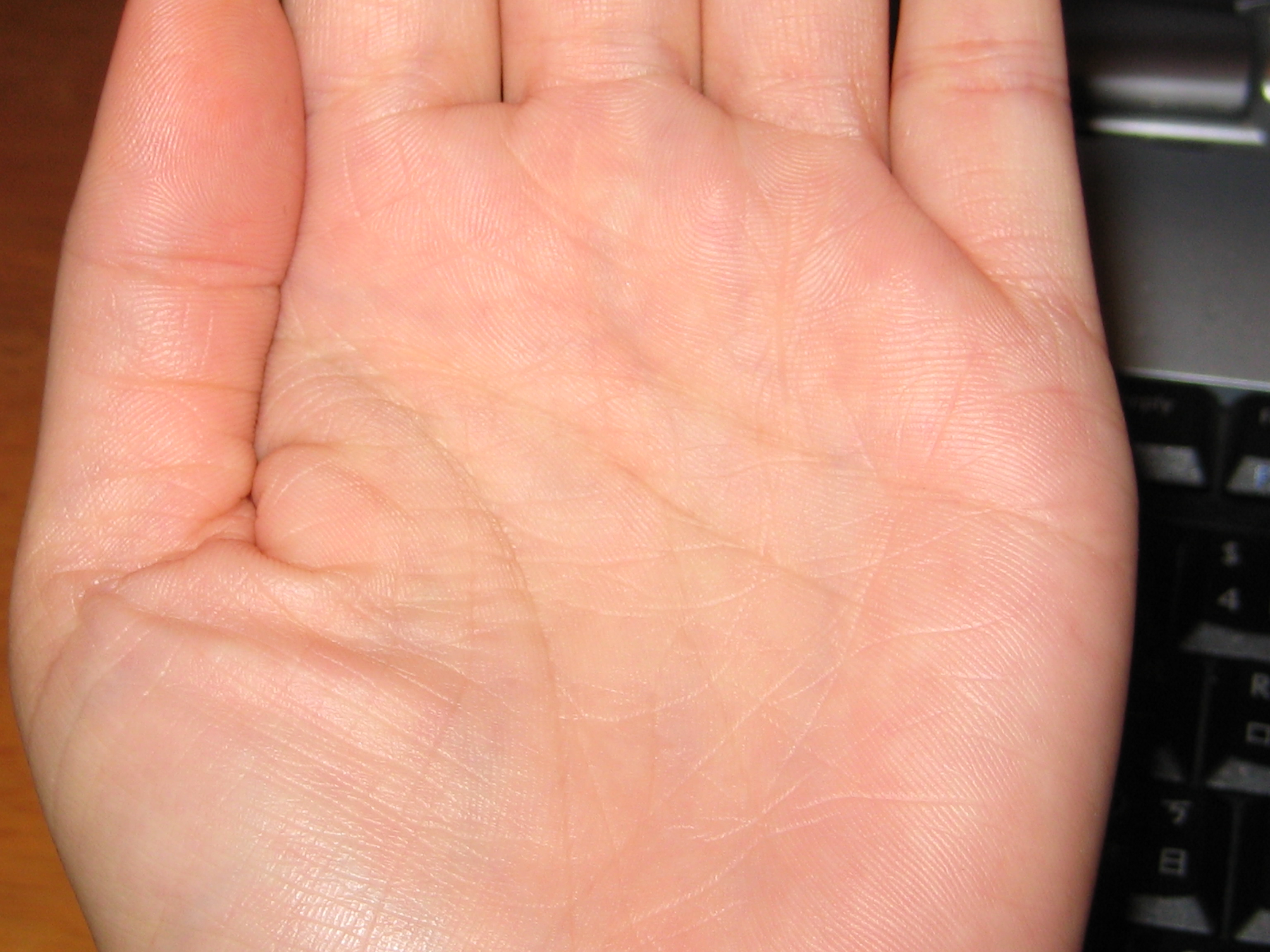 left hand-6.jpg